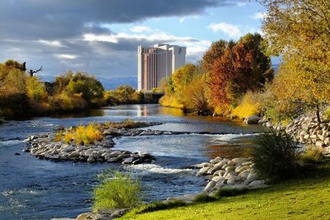 8. Truckee River Truckee River, Autumn Afternoon, Nevada Travel, Reno Tahoe, I'm Leaving, Natural Swimming Pools, Reno Nevada, Natural Pool, Swimming Holes