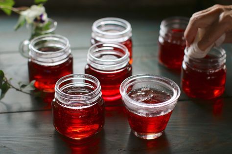 Lisa's Mayhaw Jelly — Y Delicacies Mayhaw Jelly Recipe, Mayhaw Jelly, Cherry Jelly Recipes, Fig Tart, Jelly Sweets, How To Make Jelly, Southern Biscuits, Stock Recipes, Pear Tart