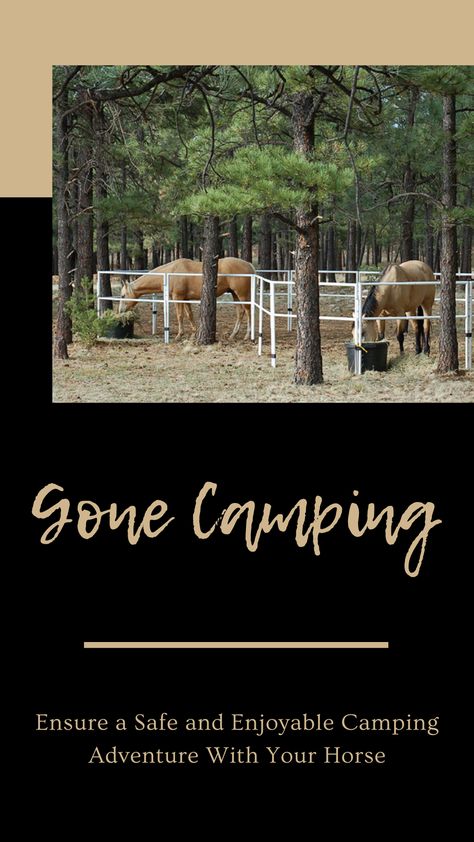 Camping With Horses, Horse Camping, Horse Trailer Living Quarters, Horse Knowledge, Country Things, Horse Camp, Going Camping, Trailer Living, Future Farms