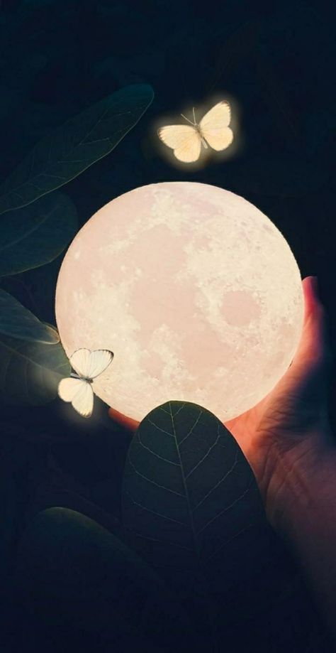 Fly To The Moon, Trending Pins, Moon Magic, To The Moon, The Moon, Butterflies, Moon, Tumblr, Pins