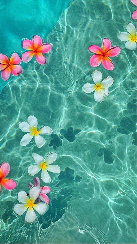 Wallpaper Backgrounds For Summer, Summer Aesthetic Vibes Wallpaper, Phone Wallpaper Summer Aesthetic, Iphone Wallpaper Summer Vibes, Summer Backround Pics, Summer Aesthetic Ideas, Hawaii Aesthetic Wallpaper Iphone, Iphone Wallpaper Summer Aesthetic, Cute Wallpapers For Summer