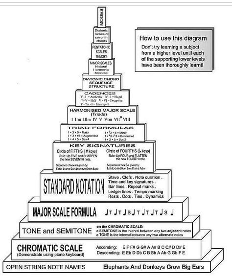 Music Theory Bass Guitar, Guitar Theory Music Education, Guitar Music Theory, Learning Pyramid, Guitar Theory, Music Theory Lessons, Basic Guitar Lessons, Learning Music, Music Theory Guitar