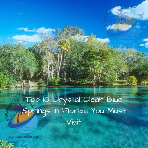 NEW! Top 10 Crystal Clear Blue Springs In Florida You Must Visit. Everything you need to know here: https://denisesanger.com/top-10-crystal-clear-blue-springs-in-florida-you-must-visit/ #floridasprings #crystalclearwater #visitflorida #travelblogger Crystal Springs Florida, Best Florida Vacations, Springs In Florida, Rainbow Springs State Park, Blue Springs State Park, Ocala National Forest, Water Vacation, Florida State Parks, Crystal Springs