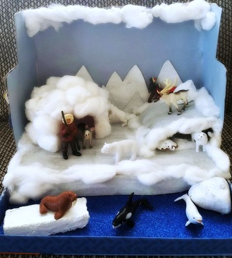 May 2016- Arctic Diorama (4) ed Tundra Diorama, Polar Habitat, Volpe Artica, Habitat Diorama, Arctic Habitat, Biomes Project, Diorama Kids, Ecosystems Projects, Habitats Projects