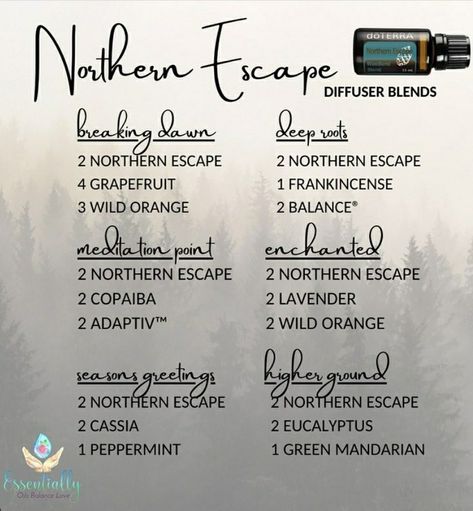 Northern Escape diffuser blends. NE is amazing with other essential oils! Diffuser Blends Doterra, Northern Escape Doterra, Doterra Northern Escape, Northern Escape Diffuser Blend, Motivate Diffuser Blend Doterra, Forest Diffuser Blends, Doterra Air-x Diffuser Blends, Sacred Mountain Diffuser Blend, Doterra Oils Recipes