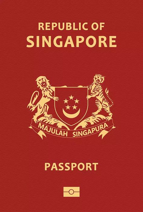 Singapore Passport, Singapore Aesthetic, Singapore Flag, Passport Renewal, Passport Template, French West Indies, Passport Pictures, Visa Canada, Passport Travel