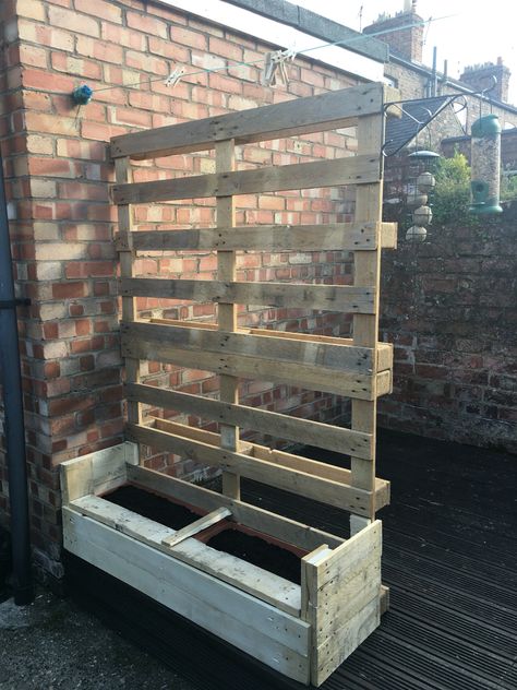 Pallet Trellis, Backyard Wall, Palette Garden, Outdoor Pallet Projects, Pallet Projects Garden, Garden Boxes Diy, Diy Wood Pallet Projects, Garden Pallet, Gardening Vegetables