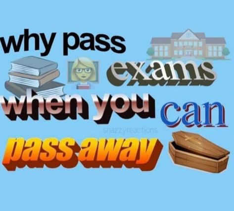 How To Pass Exams, Lol Memes, Jokes Pics, Funny Reaction Pictures, Some Funny Jokes, Internet Funny, What’s Going On, Quick Jokes, Really Funny Pictures