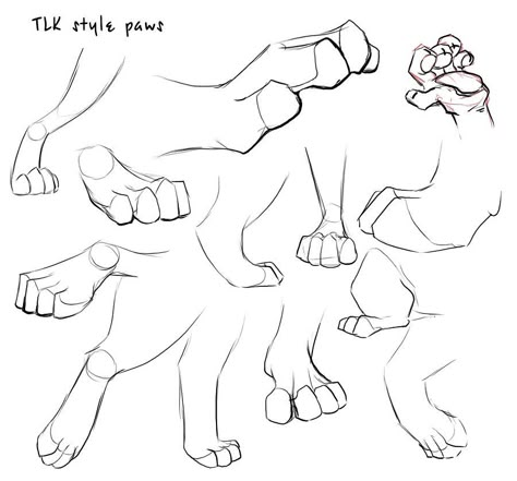 Paw Drawing, Cat Drawing Tutorial, Cat Anatomy, Warrior Cat Drawings, Drawing Help, 강아지 그림, Animal Anatomy, Creature Drawings, Art Help