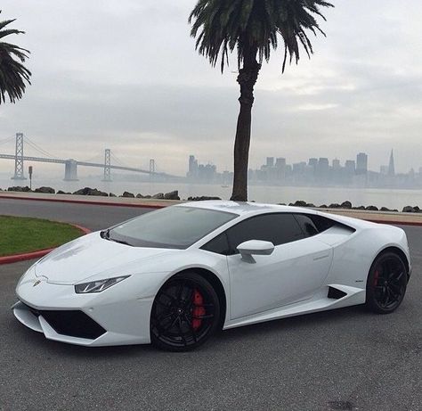 Lamborghini Huracan White, Tmax Yamaha, White Lamborghini, Audi Q8, Ford Mustang Car, Car Tattoos, Lamborghini Cars, Car Cleaning Hacks, Car Hacks