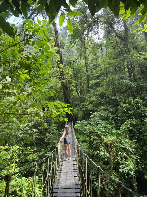 El Tigre waterfalls in Monteverde, Costa Rica Costa Rica Christmas, Vision Board Costa Rica, Costa Rica Pictures Ideas, Travel Aesthetic Costa Rica, Costa Rica Forest, Forest Life Aesthetic, Costa Rica Monteverde, Costa Rica Pics, Costa Rica Travel Aesthetic