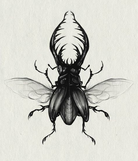 tattoo Kaliningrad on Instagram: “New available design If you are interested in, please, send DM . . . #creepyart #insecttattoo #flashaddicted #blackworktattoo…” Bug Reference, Scarab Beetle Tattoo, Body Architecture, Scarab Tattoo, Beetle Drawing, Bugs Drawing, Beetle Tattoo, Surreal Tattoo, Insect Tattoo