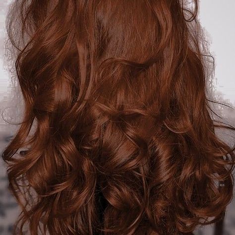 Auburn Dark Hair, Auburn Curly Hair, Dark Ginger Hair, Dark Auburn Hair, Red Hair Inspo, Brown Hair Looks, Ginger Hair Color, Dark Red Hair, Hair Color Auburn