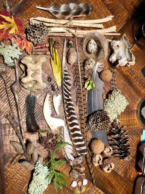 Curiosity Box, Goblincore Aesthetic, Sensory Exploration, Real Nature, Vulture Culture, Goblin Core, Natural Curiosities, Charlotte Mason, Animal Bones