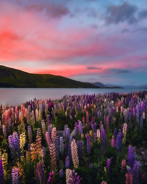 Newzealand Nature Wallpaper, Preppy Slippers, New Zealand Aesthetic, Smile Face Slippers, Smile Slippers, Happy Face Slippers, Lake Tekapo New Zealand, Pretty Lake, Nz South Island