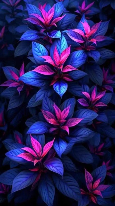 Bloom Wallpaper, Beautiful Wallpapers For Iphone, Iphone Wallpaper Video, Dont Touch My Phone Wallpaper, Neon Flowers, 1080p Anime Wallpaper, Cute Tumblr Wallpaper, Majestic Mountains, Wallpaper Nature Flowers