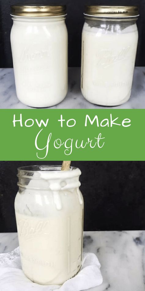 how to make yogurt How To Make Yogurt, Yogurt Homemade, Yogurt Making, Homemade Yogurt Recipes, Kids Yogurt, Diy Yogurt, Kefir Yogurt, Make Greek Yogurt, Simple Foods