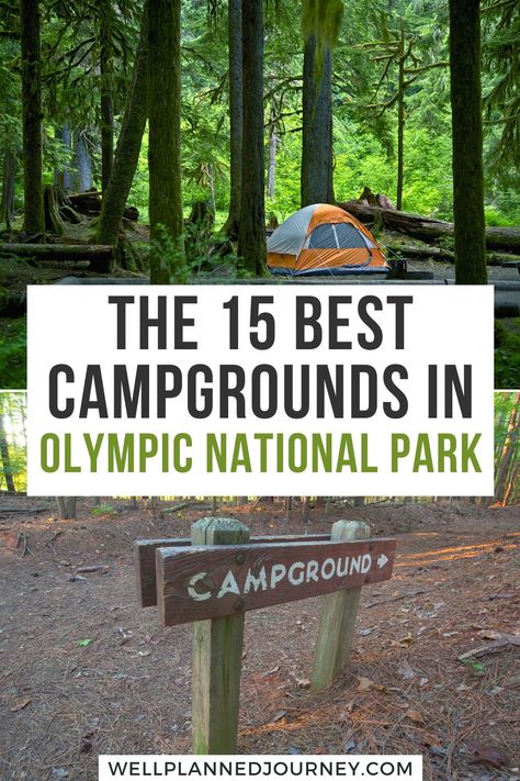 Are you planning a Washington camping trip? Don't miss this guide to the 15 best campgrounds in Olympic National Park plus exclusive tips! Olympic National Park With Kids, Olympic National Park Hikes, Pnw Trip, Washington Trip, Washington Vacation, Summer Roadtrip, Olympic National Park Washington, Pacific Northwest Travel, Washington State Travel