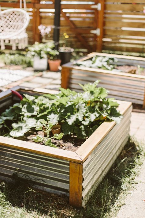 Metal Raised Beds, Raised Bed Garden Ideas, Bed Garden Ideas, Metal Garden Beds, Raised Bed Garden, Metal Raised Garden Beds, Pallet Patio, Video Garden, Garden Drawing