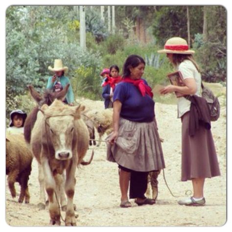 Cajamarca, Peru Jw Inspiration, Spiritual Family, Jw Ministry, Jw Family, Family World, Meaningful Pictures, Bible Promises, Everlasting Life, Set You Free