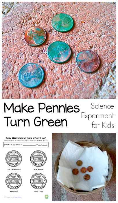 Science Experiments for Kids: How to make a penny green. Science Experience, Science Fair Ideas, Science Camp, Summer Science, Kid Science, Science Experiments For Kids, Experiments Kids, Science Crafts, Kid Experiments