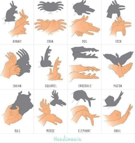 Hand Shadow Puppets, Shadow Puppets With Hands, Zombie Apocalypse Kit, Hand Shadows, Puppet Patterns, Puppet Crafts, Shadow Art, Shadow Puppets, Life Hack