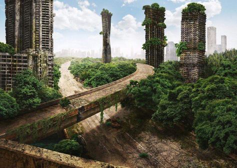 Post Apocalyptic world Post Apocalyptic City, Apocalypse World, Apocalypse Aesthetic, Post Apocalyptic Art, Apocalypse Art, Post Apocalypse, Matte Painting, 판타지 아트, Dieselpunk