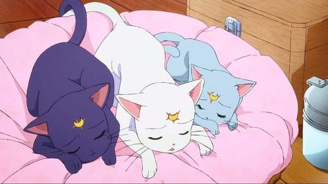 Artemis And Luna, Diana Sailor Moon, Sailor Moon Background, Sailor Moon Pin, Luna And Artemis, Sailor Moon Luna, Moon Luna, Sailor Moon Wallpaper, Moon Pictures