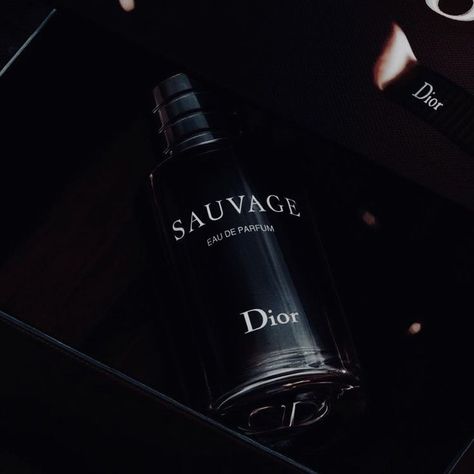 A radically fresh composition, Dior Sauvage is both raw and noble. Radiant top notes burst with the juicy freshness of Calabrian bergamot, while Amberwood unleashes a powerfully woody trail. Sauvage men's cologne is inspired by wide-open spaces, a white-hot desert landscape under a vast blue sky.
About the Fragrance: "To create Sauvage, I used man as my starting point. A strong and unmistakable masculinity. Like the image of a man who transcends time and fashion."—François Demachy, Dior Perfumer Dior Cologne Aesthetic, Jonathan King, Black Store, Greek Royal Family, Dior Sauvage, Fragrance Photography, Fresh Perfume, Dior Aesthetic, Rina Kent