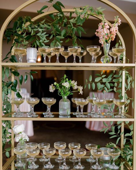 a Champagne Welcome—yes, please!! 🥂Champagne is the perfect little happy to greet your guests with! Champagne Welcome Drink Wedding, Champagne Welcome Drink, Welcome Drink Wedding, Drink Wedding, Welcome Drink, New Orleans Wedding, Wedding Drink, Yes Please, Wedding Things