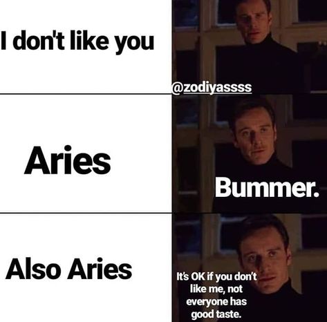 Aries Mood, Aries Things, Aries Funny, Arte Aries, Astrology Signs Aries, Zodiac Quotes Scorpio, Aries Aesthetic, Zodiac Signs Pictures, Aries Baby