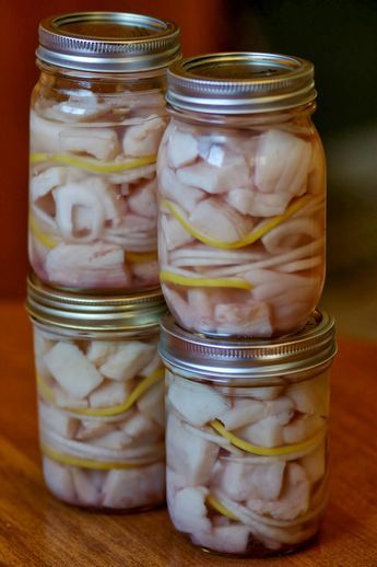 Pickled Northern Pike Walleye Soup, Walleye Dip, Northern Pike Recipe, Pickled Herring Recipe, Canning Fish, Pike Recipes, Herring Recipe, Pickled Fish Recipe, Pickled Meat