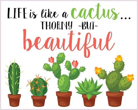 Cactus Quotes, Plants Classroom, Plants Quotes, Funny T Shirt Sayings, Pool Outdoor, Happy Birthday Signs, Plants Are Friends, Textile Printing, Cactus Decor