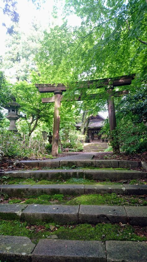 Temple In The Mountains, Abandoned Temple, Japan Temple, Japanese Shrine, Japanese Temple, Love Funny, Anatomy Drawing, Aquascaping, Fly High