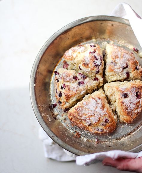 Pomegranate Scones Pomegranate Scones, Pomegranate Desserts, Pomegranate Dessert, Pomegranate Recipes, Scone Recipe, Meal Of The Day, Breakfast And Brunch, Scones, Pomegranate