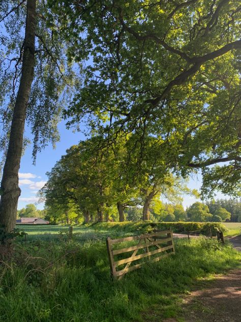 French Countryside Landscape, Nature In Summer, 1800s Countryside Aesthetic, New England Countryside, American Countryside Aesthetic, German Countryside Aesthetic, Summer Aesthetic Countryside, Living In The Countryside, Summer In The Countryside