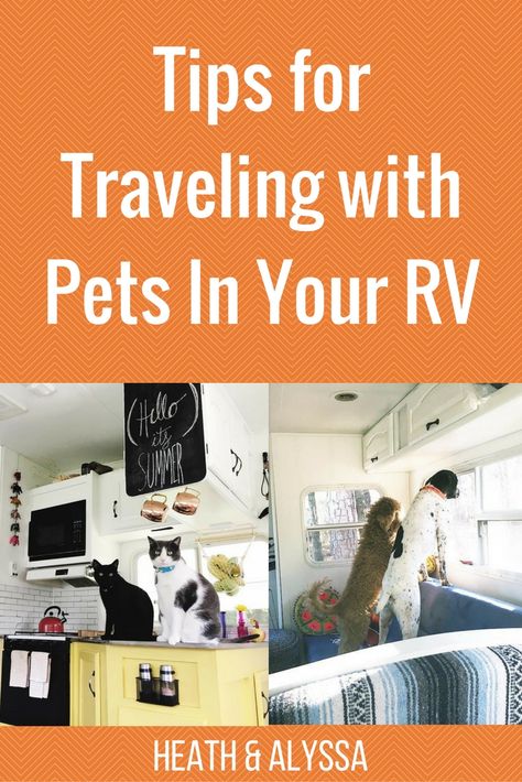 Traveling With Pets, Rv Camping Checklist, Camping For Beginners, Rv Camping Tips, Solo Camping, Family Tent Camping, Tips For Traveling, Camping Guide, Camping Checklist