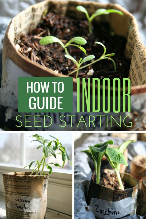 Starting Vegetable Seeds Indoors, When To Start Seeds Indoors, When To Start Seeds, Starting Seeds Inside, Starting Vegetable Seeds, Indoor Seed Starting, Planting Seeds Indoors, Germinating Seeds, Growing Vegetables At Home