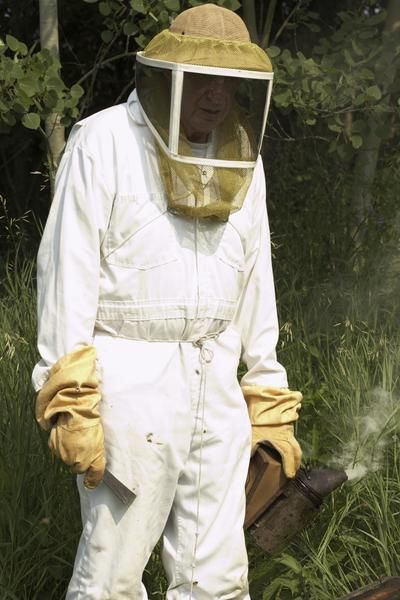 Bee Keeper Outfit, Bee Keeper Suit, Beekeeper Costume, Beekeeping Suit, Bee Keeper, Printed Aprons, Protective Clothing, Singing In The Rain, Hoodie Outfit