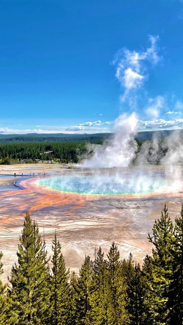 Grand Prismatic Spring Yellowstone, Types Of Bacteria, Grand Prismatic Spring, Nature Wonders, Grand Prismatic, Berry Jam, National Parks Usa, Scenery Nature, 2025 Vision