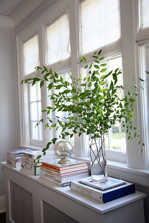 greenery in a tall vase (via a curious gardener: things I like this week...) Glass Vase Filler Ideas, Vase Filler Ideas, Tall Vase Decor, Vase With Branches, Tall Glass Vase, Glass Vase Decor, Greenery Arrangements, Greenery Decor, Flower Vase Arrangements