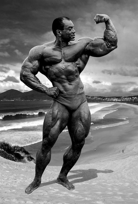 Sergio Oliva, Fasted Cardio, Old Bodybuilder, Classic Physique, Best Bodybuilder, Schwarzenegger Bodybuilding, Bodybuilding Pictures, Bodybuilders Men, Mr Olympia