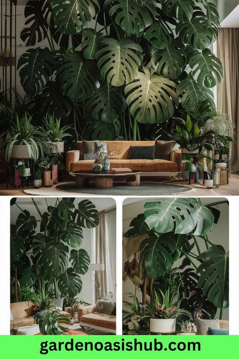 Transform your bathroom into a spa-like retreat with the best indoor plants that love humidity. These plants thrive in moist conditions and bring fresh vibes to your space. Add life to your bathroom with these green beauties. Indoor Plants For Bathroom, Indoor Plants For Low Light, Plants For Bathroom, Plants For Low Light, Fresh Vibes, Low Light Plants, Best Indoor Plants, Bathroom Plants, Dark Corners