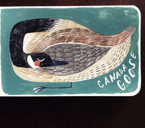 🌲 Taryn Knight 🌲 on Instagram: “Canada goose 🌾🌾🌾” Taryn Knight, Goose Illustration, Goose Drawing, Watercolor Pencil Art, Folk Illustration, Literary Agent, Pottery Painting Designs, Bird Patterns, Bird Illustration