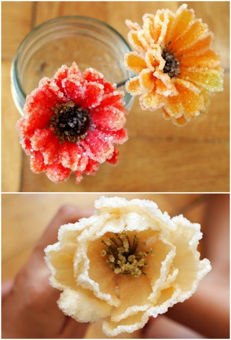 Crystal Flowers and Borax Uses for Kids | 15 Easy Borax Recipes on Frugal Coupon Living. Science experiments kids. Crystallized Flowers, Crystalized Flowers, Borax Crystal Pinecones, Borax Crystal Halloween, Borax Crystals Diy Ideas, Borax Crafts, Borax Crystals Diy, Borax Uses, Borax Crystals