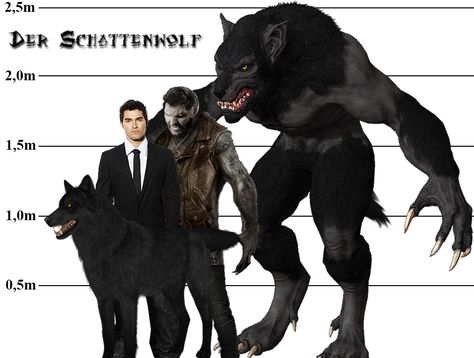 Schattenwolf - Derek Hale real Alpha Werewolf Forms - Shadow Wolf Derek Hale Werewolf Form, Wolf Transformation, Real Werewolf, Werewolf Drawing, Wolf People, Alpha Werewolf, Shadow Wolf, Werewolf Aesthetic, Alpha Wolf