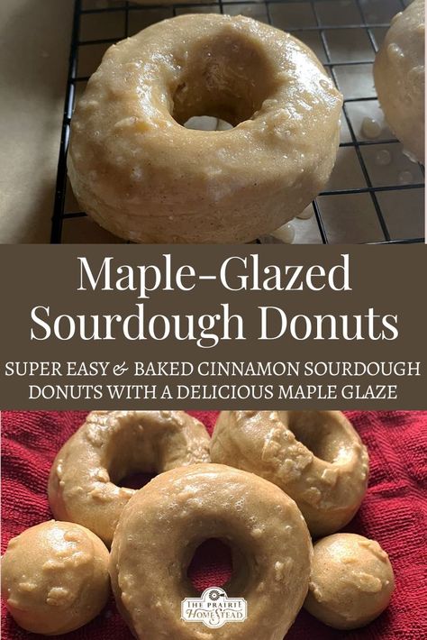 Sourdough Doughnuts Baked, Baked Sourdough Doughnut Recipe, Gluten Free Sourdough Donut Recipe, Sour Dough Donuts Recipe, Sourdough Discard Donuts Baked, Sourdough Baked Donut Recipe, Thm Sourdough Recipes, Baked Sourdough Donut Recipe, Sourdough Discard Donut Recipes