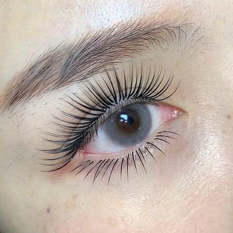 Underlash Eyelashes, Baby Doll, Eyebrows, Eyelashes, Pinterest Likes, Lashes, Makeup, Beauty, Quick Saves