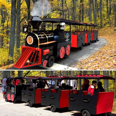 Rent out our Trackless Train Today for your event! #trains #toronto #GTA Diy Train, Trackless Train, Barrel Train, Ride On Train, Halloween Train, Locomotive Train, Vbs Themes, Christmas Parade, Outdoor Play Equipment