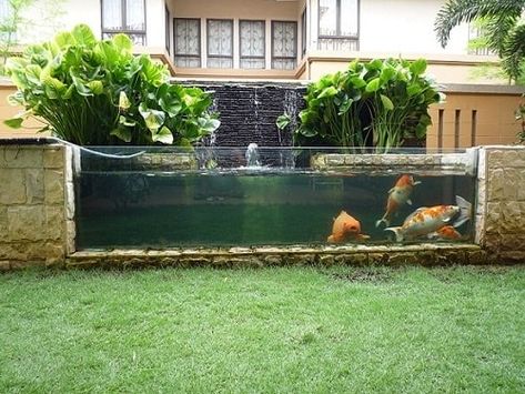 Pond With Window, Outdoor Fish Tank, Koi Pond Backyard, Above Ground Pond, Fish Ponds Backyard, Raised Pond, Indoor Pond, Koi Pond Design, Fish Pond Gardens